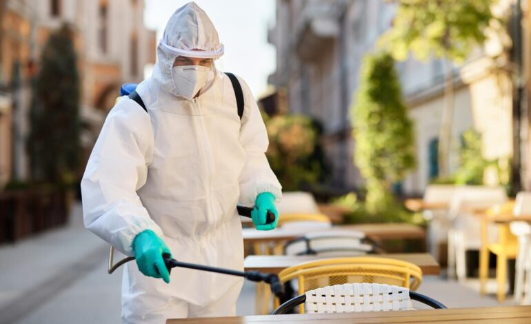 What Influences Pest Control Price Dubai? A Smart Guide